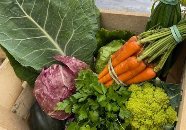 2024_04_fall_csa_root_vegetables